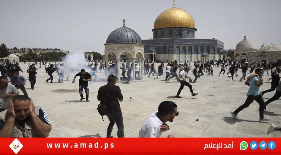 محافظة القدس: 1678 مستوطن اقتحموا الأقصى خلال يومين وتصعيد لفرض وقائع جديدة داخله