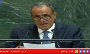مصر تجدد دعمها لحل الدولتين وترفض تهجير الفلسطينين